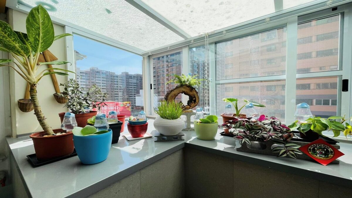 療癒小花園 (1)